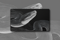 Serpent Coil — Monochrome Snake Desk Mat
